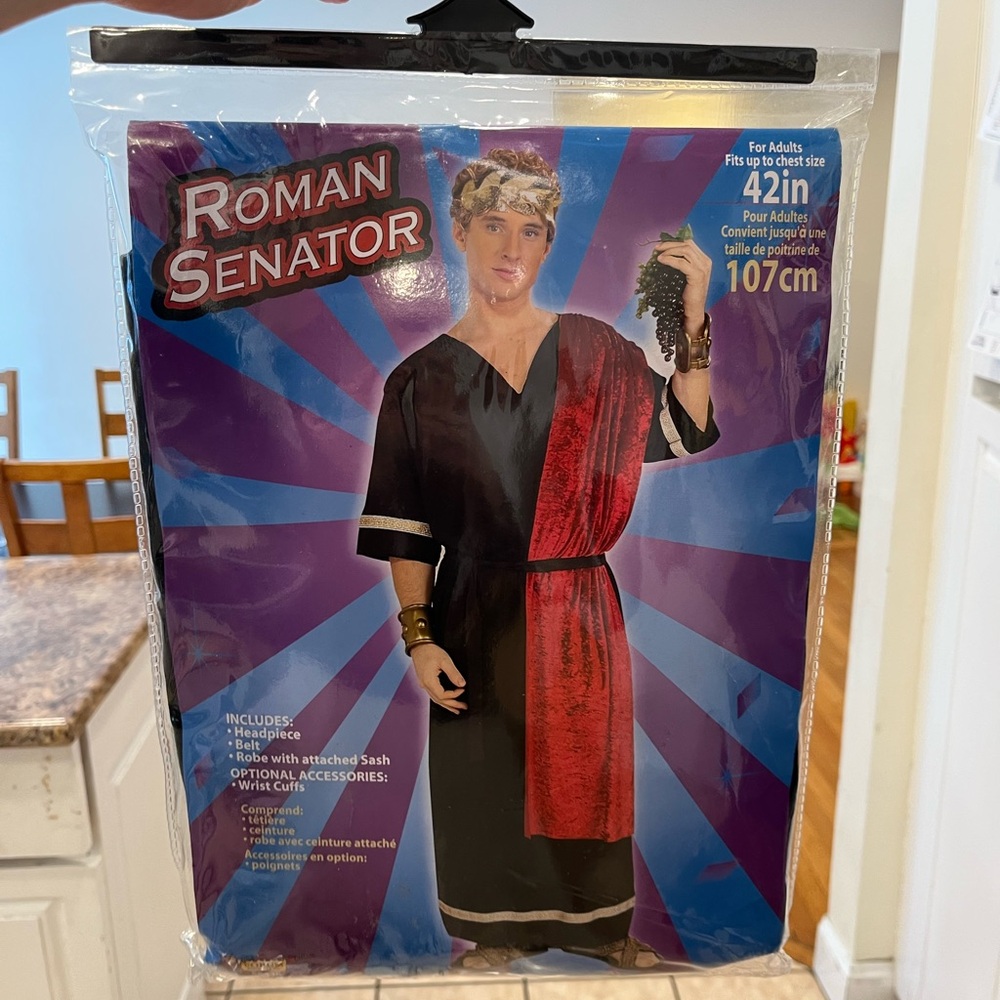 Roman Senator Costume with Red Sash